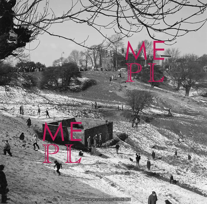: Hampstead Heath, London : Hampstead Heath, London