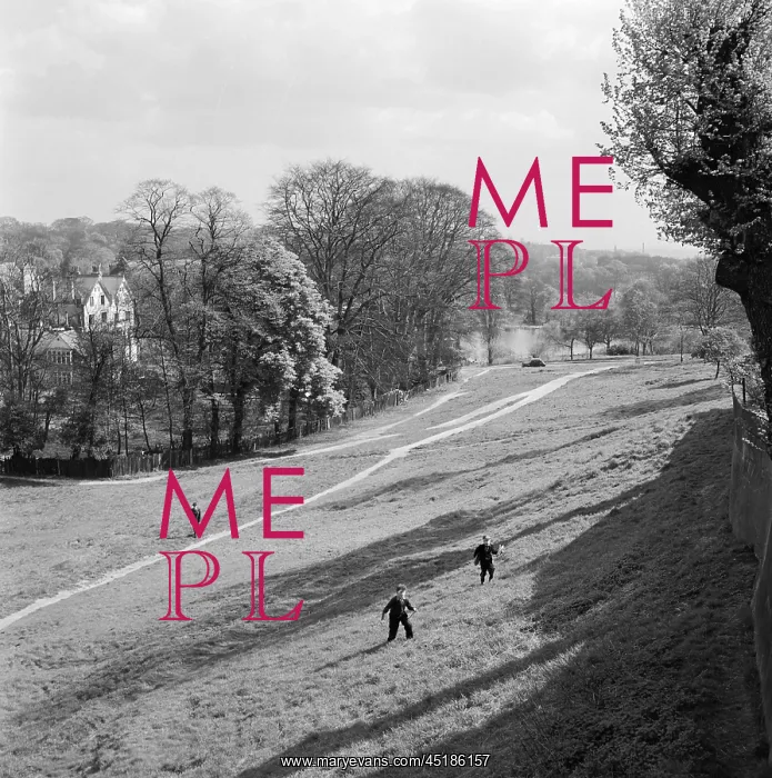 : Hampstead Heath, London : Hampstead Heath, London