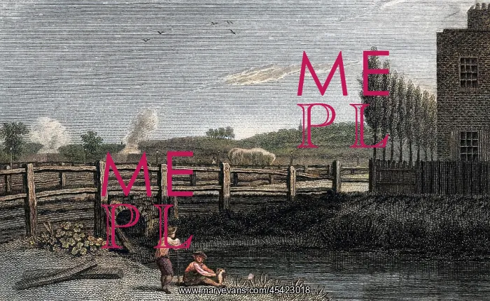 : HAMPSTEAD HILLS