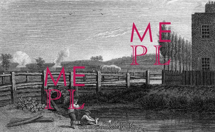  : HAMPSTEAD HILLS
