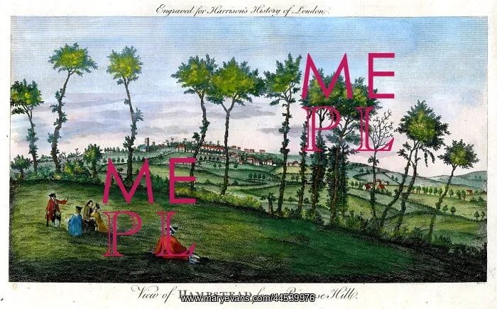  : Hampstead From Primrose Hill