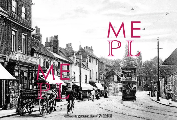  : Hampton Wick High Street early 1900s