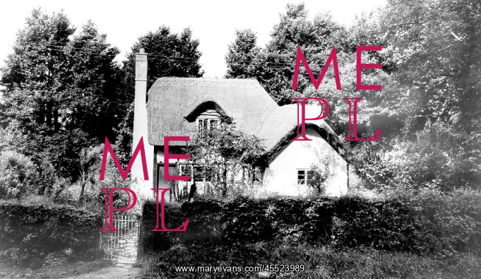  : Hanbury, Thatched Cottage c1965