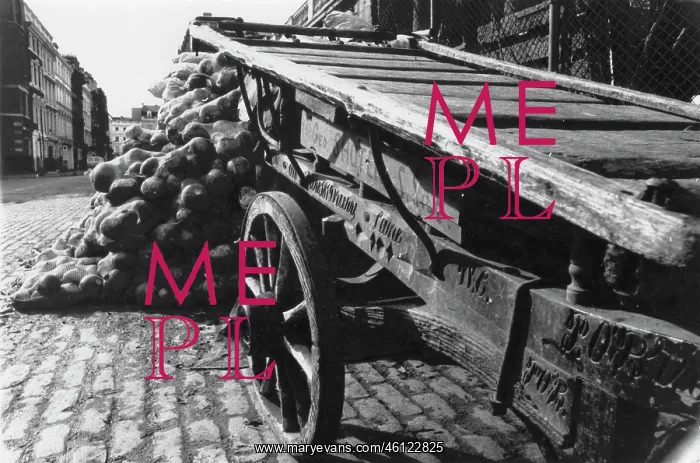 : Hand cart with pile of vegetables behind it : Hand cart with pile of vegetables behind it