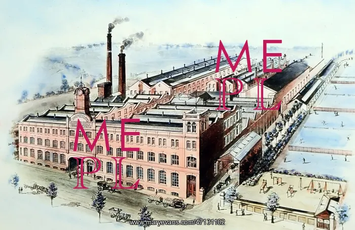 : Hand coloured illustration of CWS Crumpsall Biscuit : Hand coloured illustration of CWS Crumpsall Biscuit