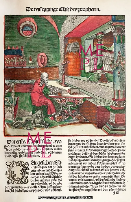 : Hand-coloured woodcut : Hand-coloured woodcut