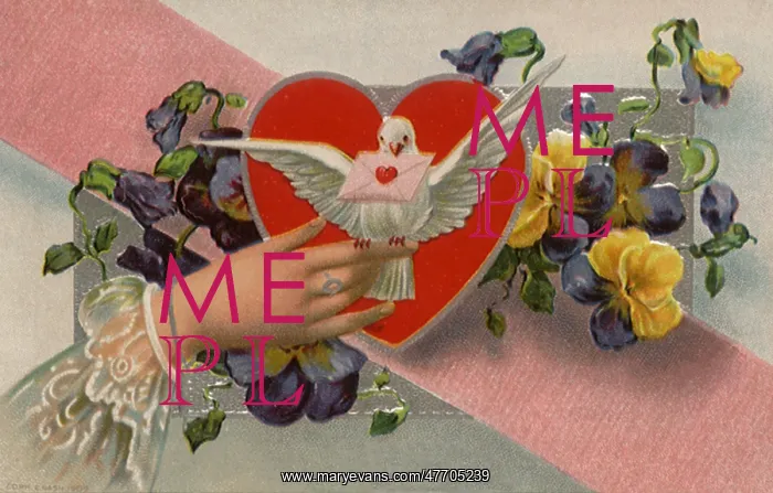 : Hand and Dove : Hand and Dove