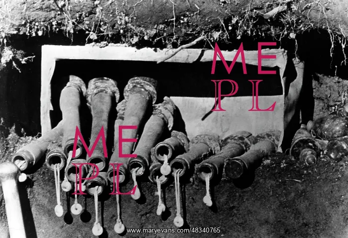 : Hand grenades in a trench, 1943 : Hand grenades in a trench, 1943