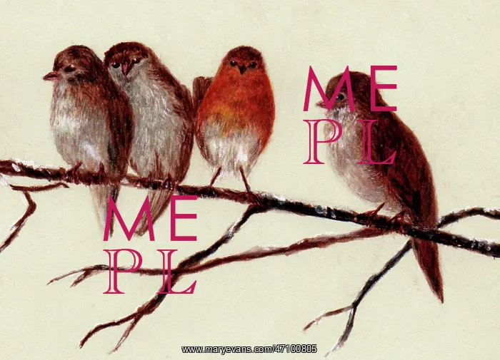 : Hand painted illustration of robins by an unknown artist : Hand painted illustration of robins by an unknown artist