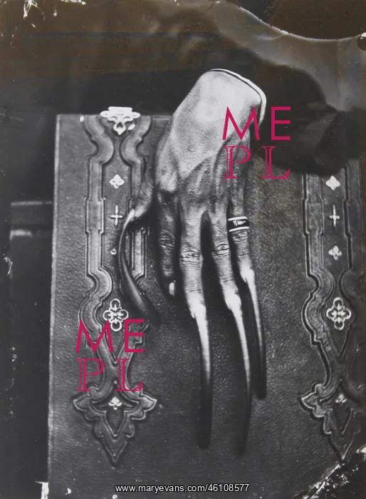 : The hand of a rich Annam citzien : The hand of a rich Annam citzien