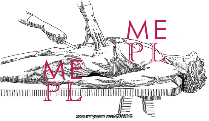 : A Handbook of Morbid Anatomy and Post-Mortem Technique : A Handbook of Morbid Anatomy and Post-Mortem Technique