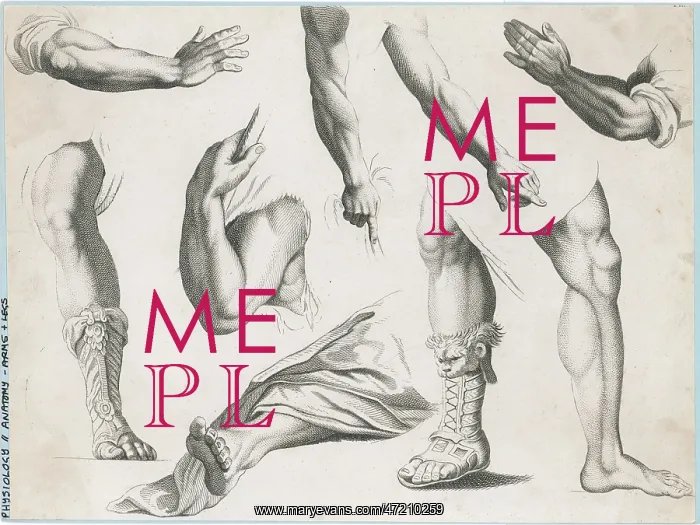 : HANDS & FEET / ALBION PRES : HANDS & FEET / ALBION PRES