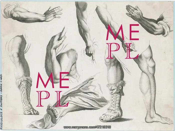 : HANDS & FEET / ALBION PRES : HANDS & FEET / ALBION PRES