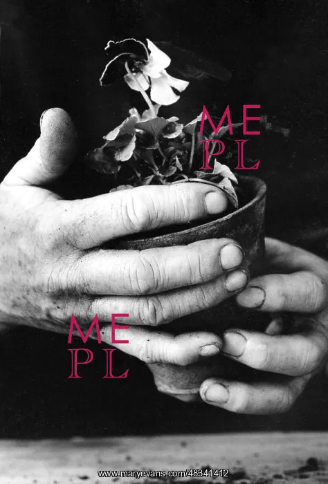  : The Hands of a Gardener