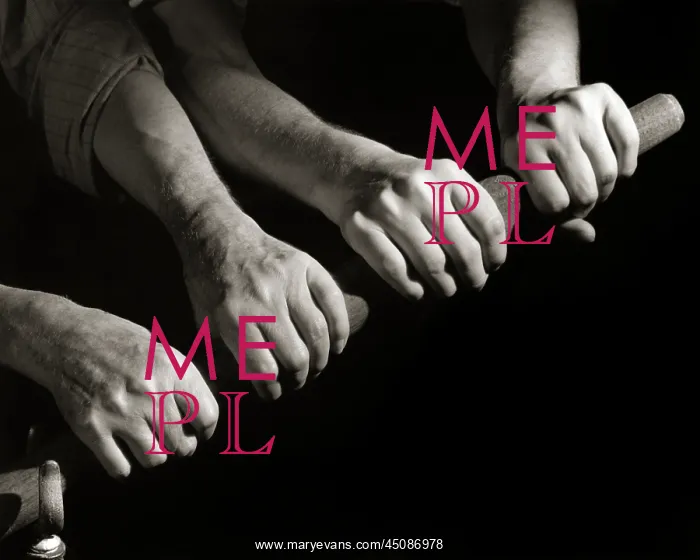 : Four Hands of Two Men Rowing Pulling on An Oar Together : Four Hands of Two Men Rowing Pulling on An Oar Together