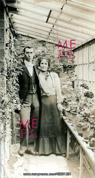 : A very handsome couple in their greenhouse : A very handsome couple in their greenhouse