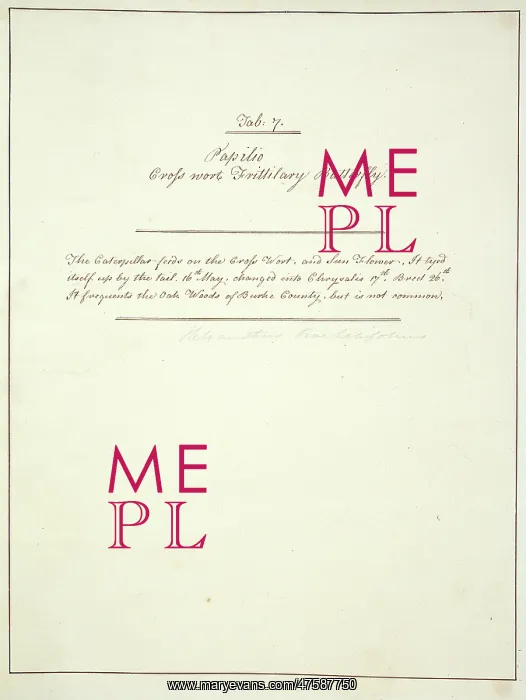 : Handwritten notes by John Abbot : Handwritten notes by John Abbot