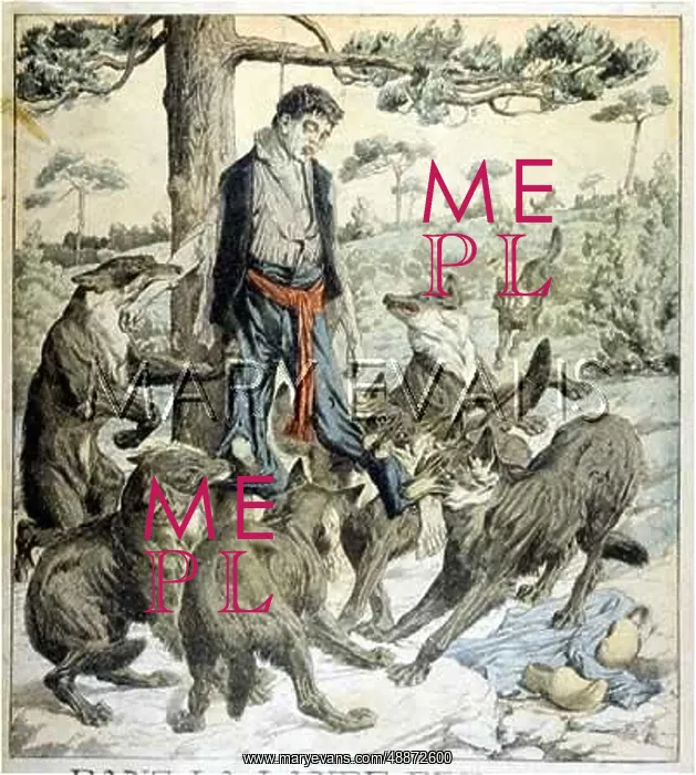 : Hanged man is eaten by wolves : Hanged man is eaten by wolves