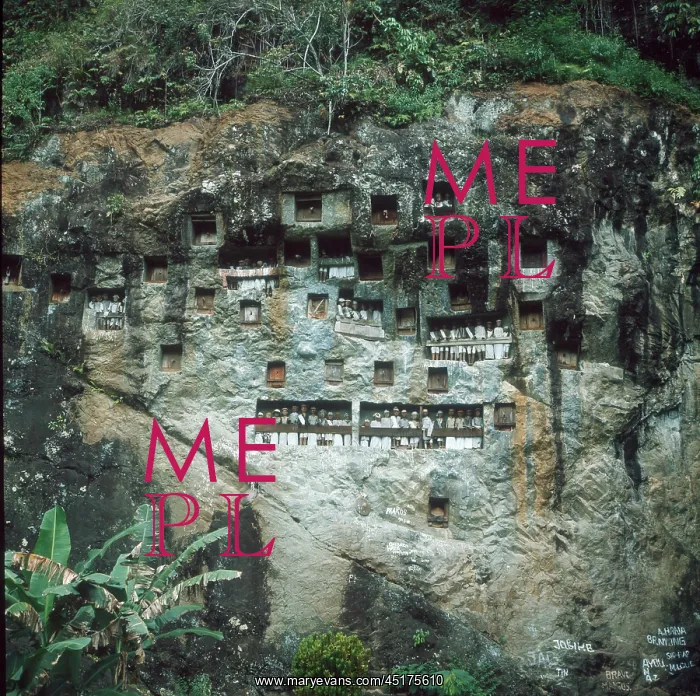 : HANGING GRAVES / CELEBES : HANGING GRAVES / CELEBES