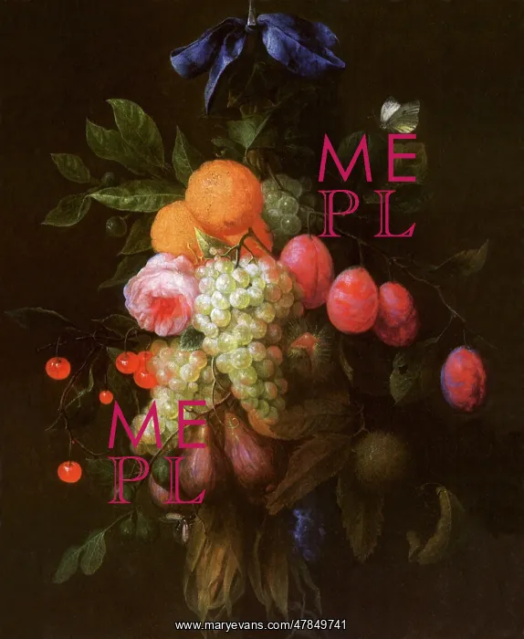  : Hanging Still Life