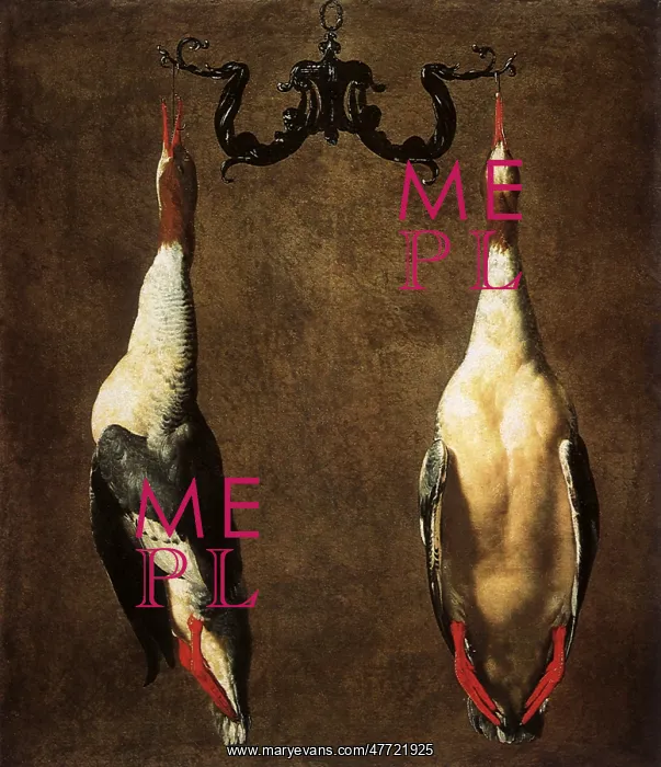  : Two Hanging Mallards