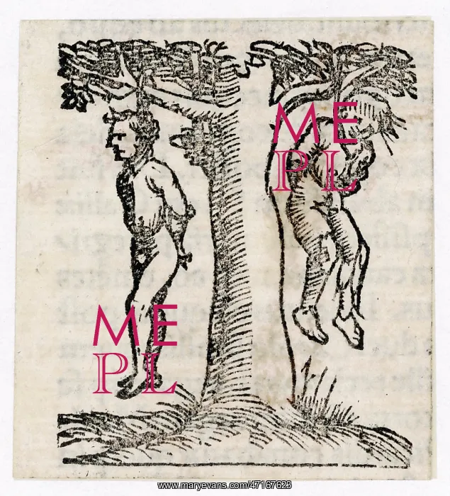 : HANGING / TREE / C16TH : HANGING / TREE / C16TH