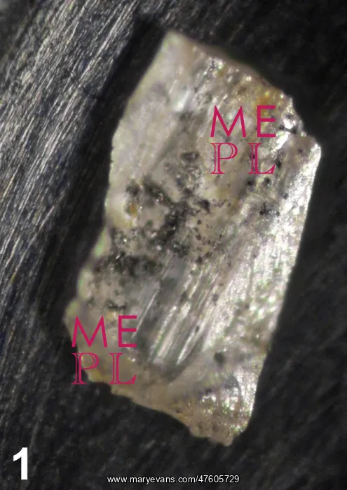 : Hannay's diamond : Hannay's diamond