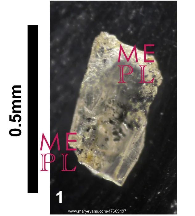 : Hannay's diamond : Hannay's diamond