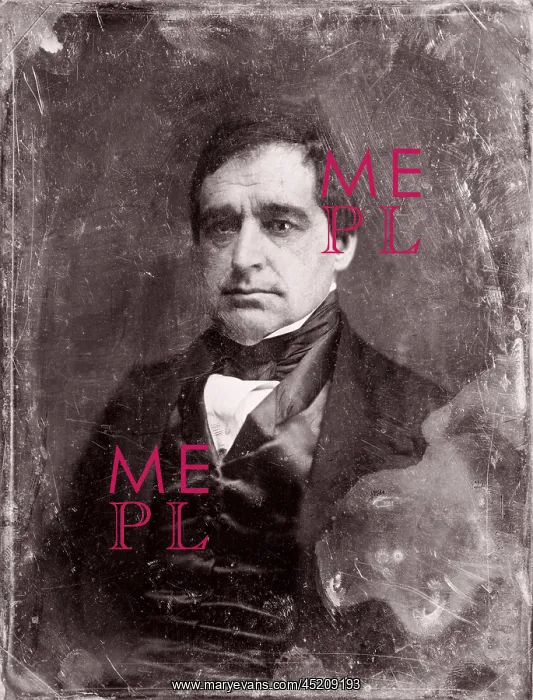 : Hannibal Hamlin (1809-1891) had to leave ? : Hannibal Hamlin (1809-1891) had to leave ?