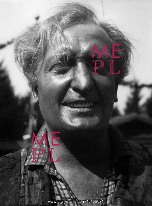 : Hans Albers : Hans Albers