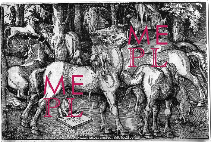 : Hans Baldung-Grien