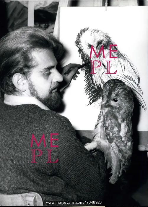 : Hans Bittner of Munich, drawing an owl from life : Hans Bittner of Munich, drawing an owl from life