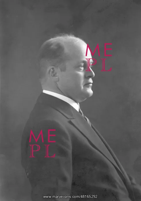 : Hans Friedrich Blunck : Hans Friedrich Blunck