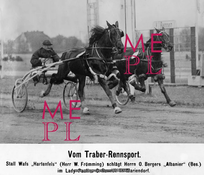 : Hans Froemming : Hans Froemming