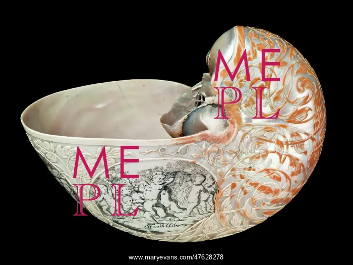 : Hans Sloane's nautilus shell : Hans Sloane's nautilus shell