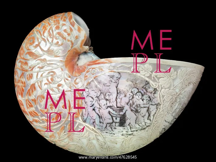 : Hans Sloane's nautilus shell : Hans Sloane's nautilus shell