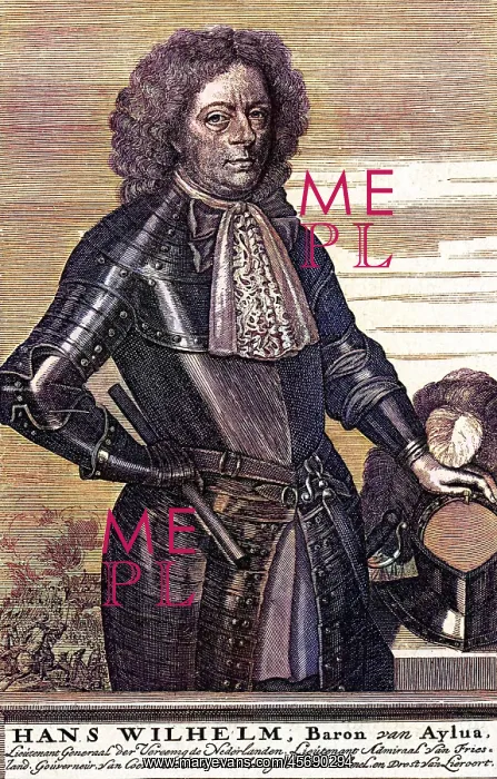 : HANS WILLEM VAN AYLVA : HANS WILLEM VAN AYLVA