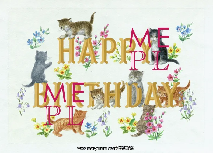  : Happy Birthday