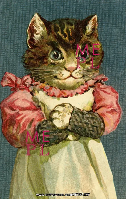 : Happy cat by g h Thompson : Happy cat by g h Thompson