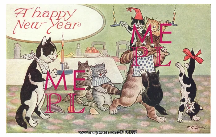 : Happy Cats : Happy Cats