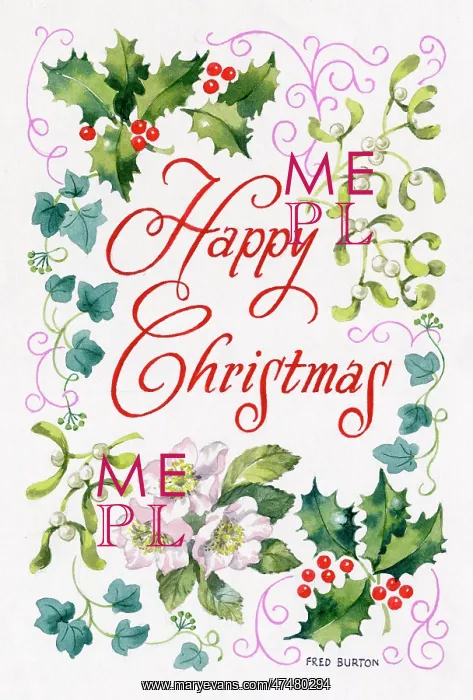 : Happy Christmas with holly, mistletoe, ivy and Christmas ros : Happy Christmas with holly, mistletoe, ivy and Christmas ros