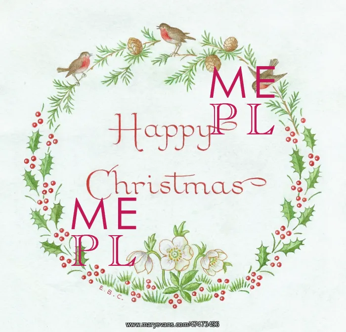  : Happy Christmas with robins