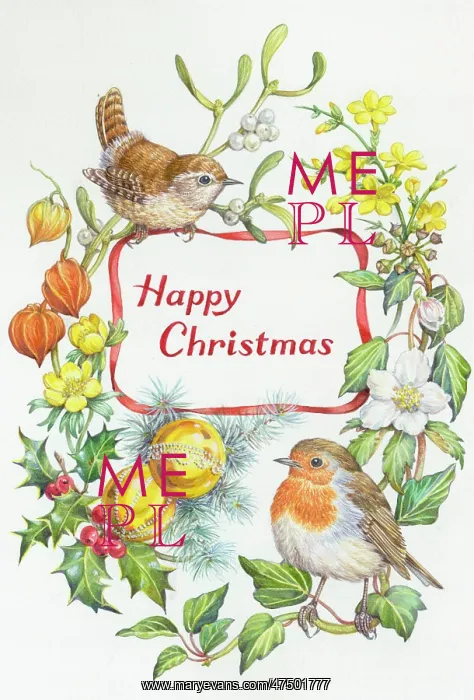 : Happy Christmas ' Wren, robin, mistletoe etc : Happy Christmas ' Wren, robin, mistletoe etc