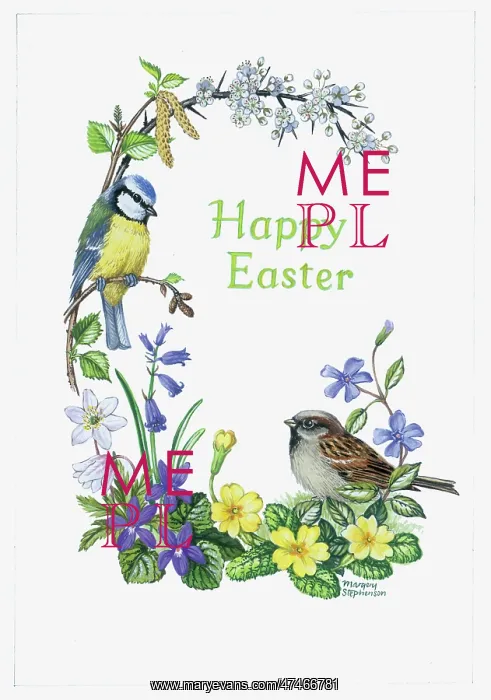 : Happy Easter ? blue tit, sparrow, violets etc : Happy Easter ? blue tit, sparrow, violets etc