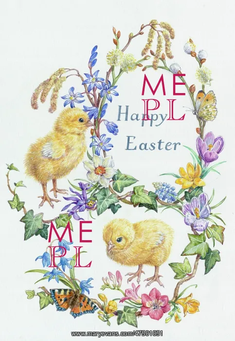 : Happy Easter ' two Chicks with butterflies : Happy Easter ' two Chicks with butterflies