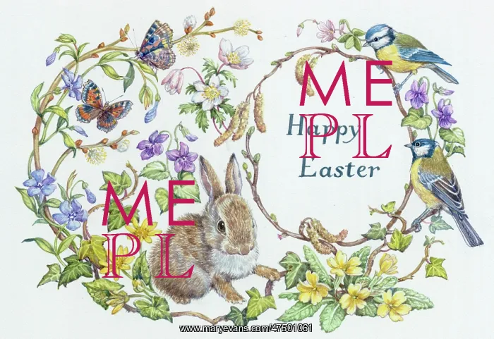 : Happy Easter ' rabbit, blue tits, butterflies etc : Happy Easter ' rabbit, blue tits, butterflies etc