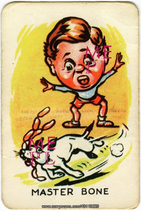  : Happy Familes Playing Cards - Master Bone