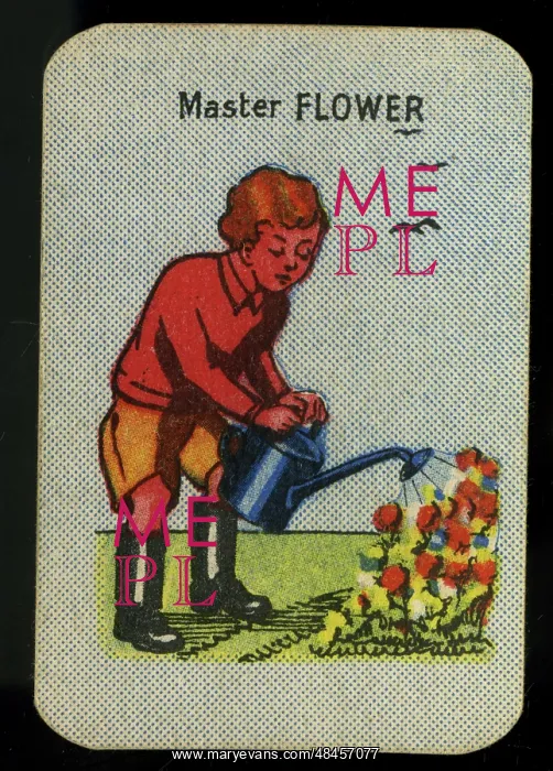 : Happy Families - Master Flower