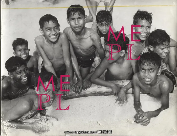 : Happy group of wolf cubs, Mauritius : Happy group of wolf cubs, Mauritius
