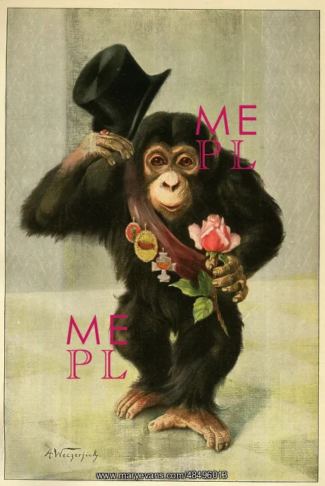 : Happy New Year - Chimpanzee with top hat and rose : Happy New Year - Chimpanzee with top hat and rose